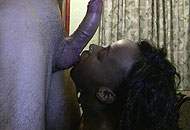 African Fuck Tour
